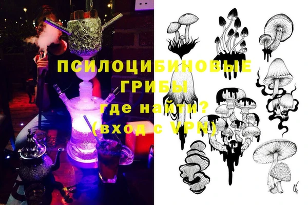 a pvp Алзамай