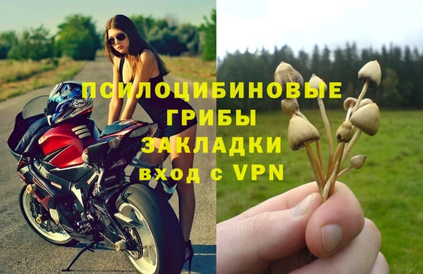 крисы Алексеевка
