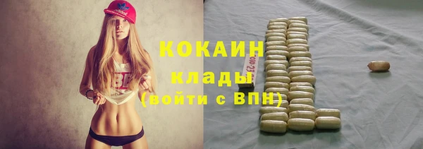 гидра Алексин