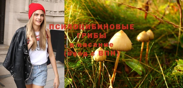 крисы Алексеевка