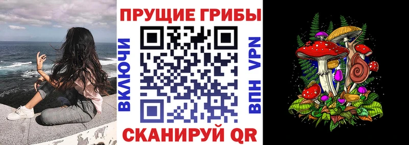 Псилоцибиновые грибы GOLDEN TEACHER  Купить закладки  Абдулино 